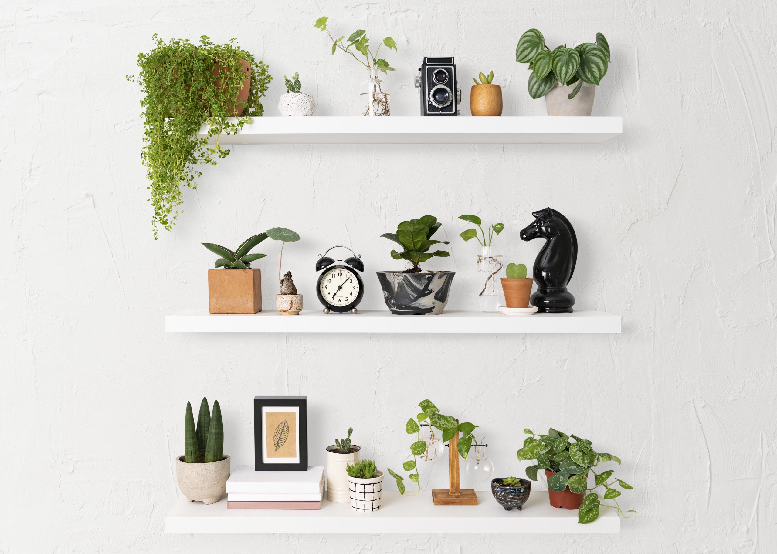 Shelves