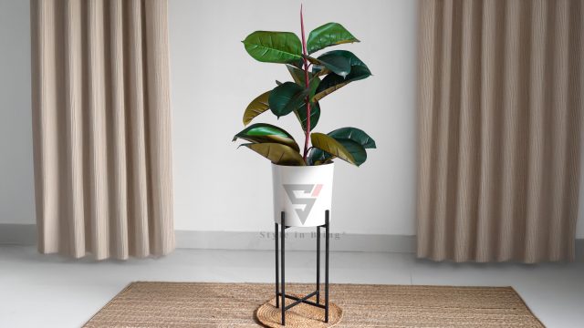 Metal Planter Modern with Stand